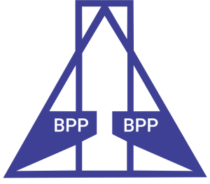 Logo PT Berdikari Pondasi Perkasa Tbk